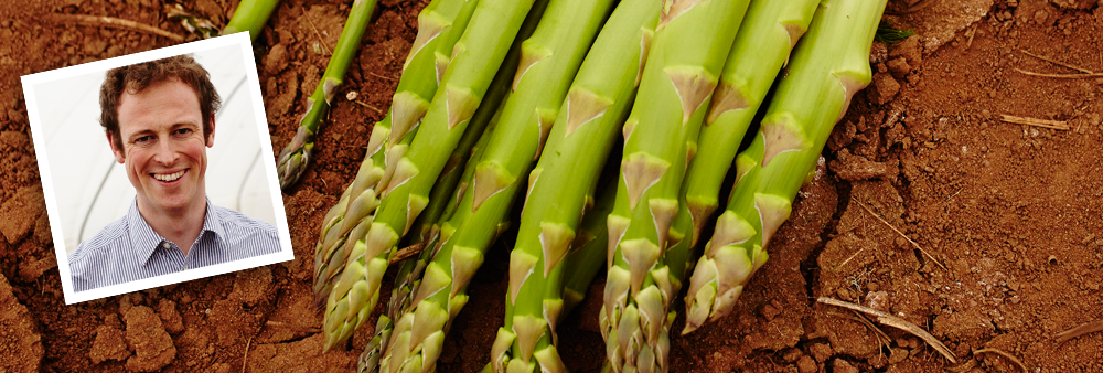 Asparagus