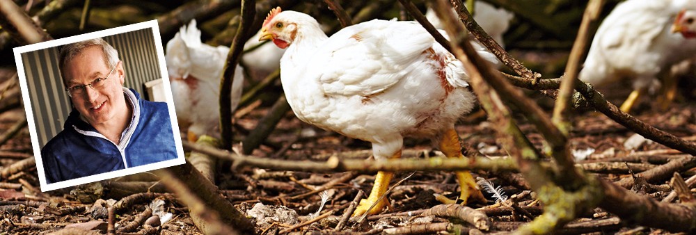 Meet the chicken farmer