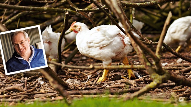 Meet the chicken farmer